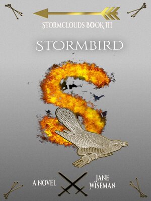 cover image of Stormbird